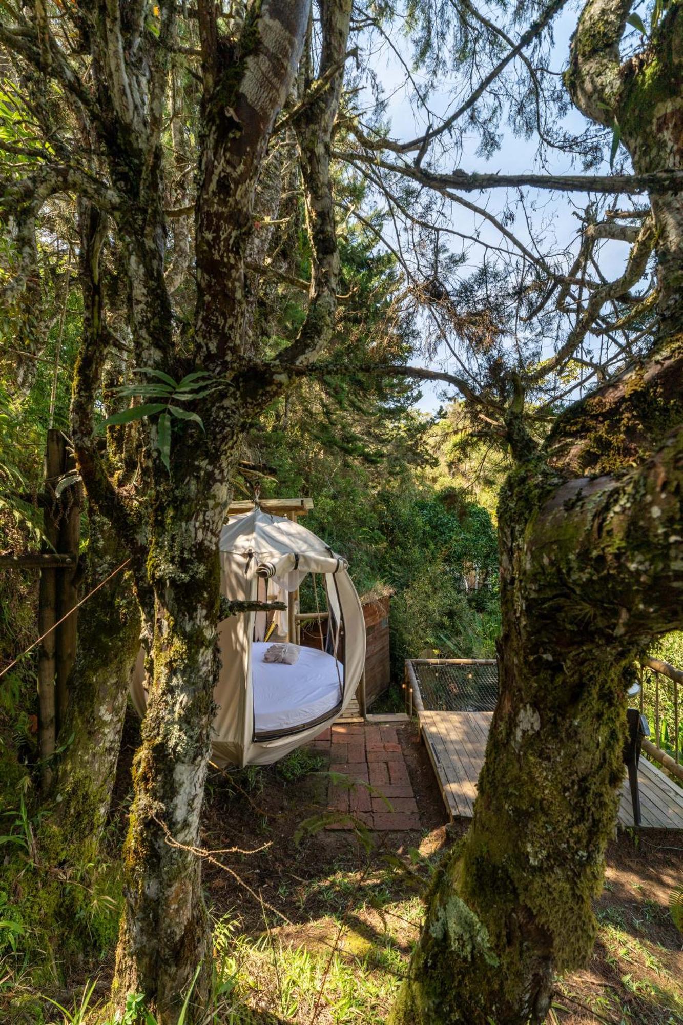 Levit Glamping - Hotel Guatape Penol (Adults Only) מראה חיצוני תמונה